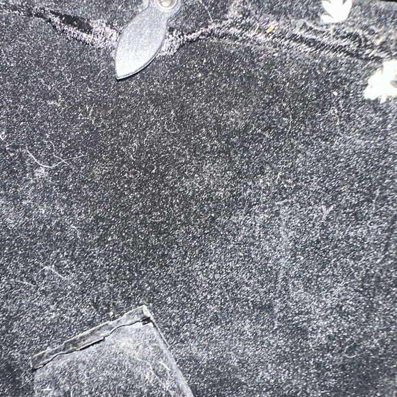 Unique Rare Pressed Flowers and Genuine Butterfly taxonomy Floral Art. - Picture 11 of 12